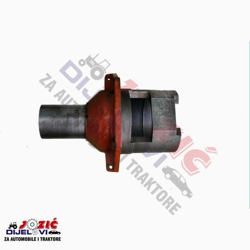 Daisy on the Ohoopee