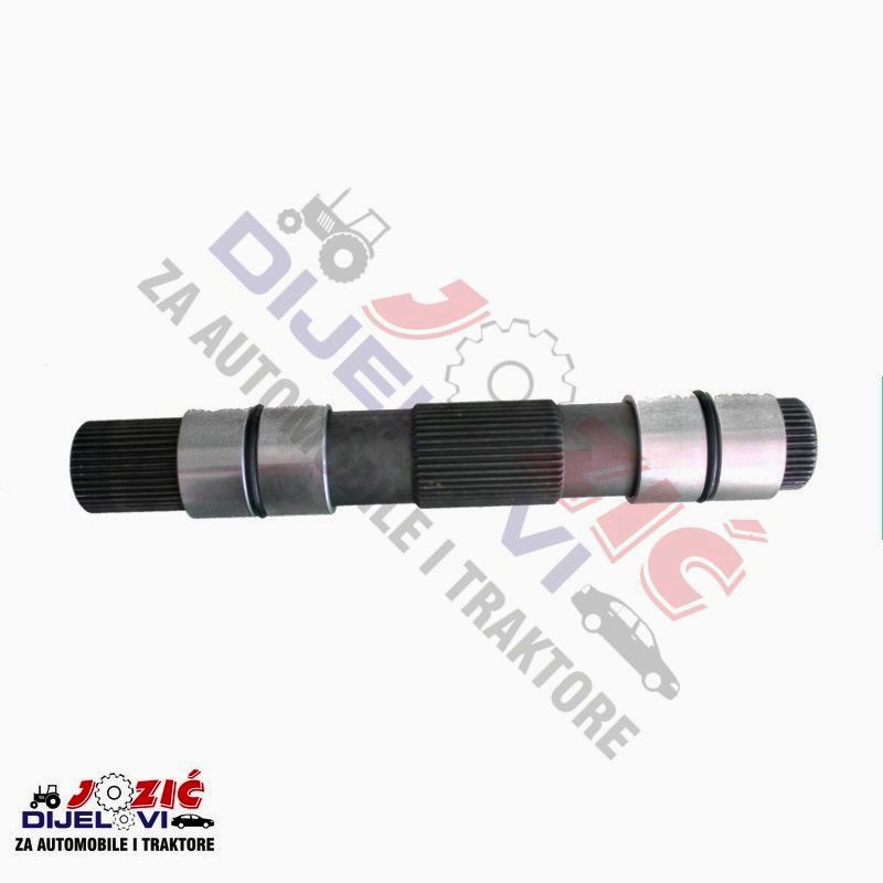 Daisy on the Ohoopee