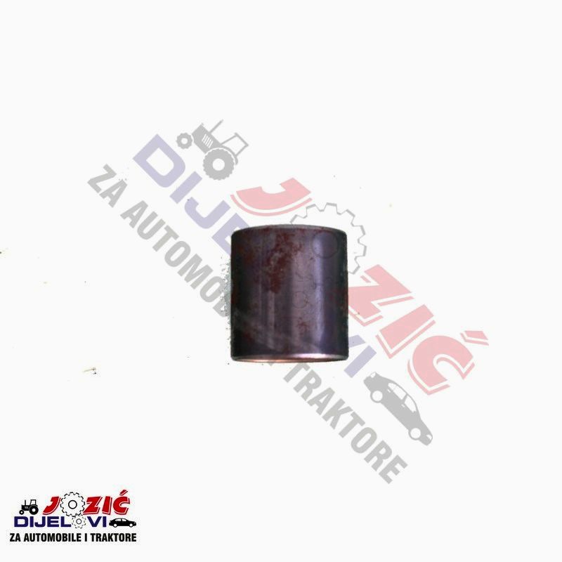 Daisy on the Ohoopee