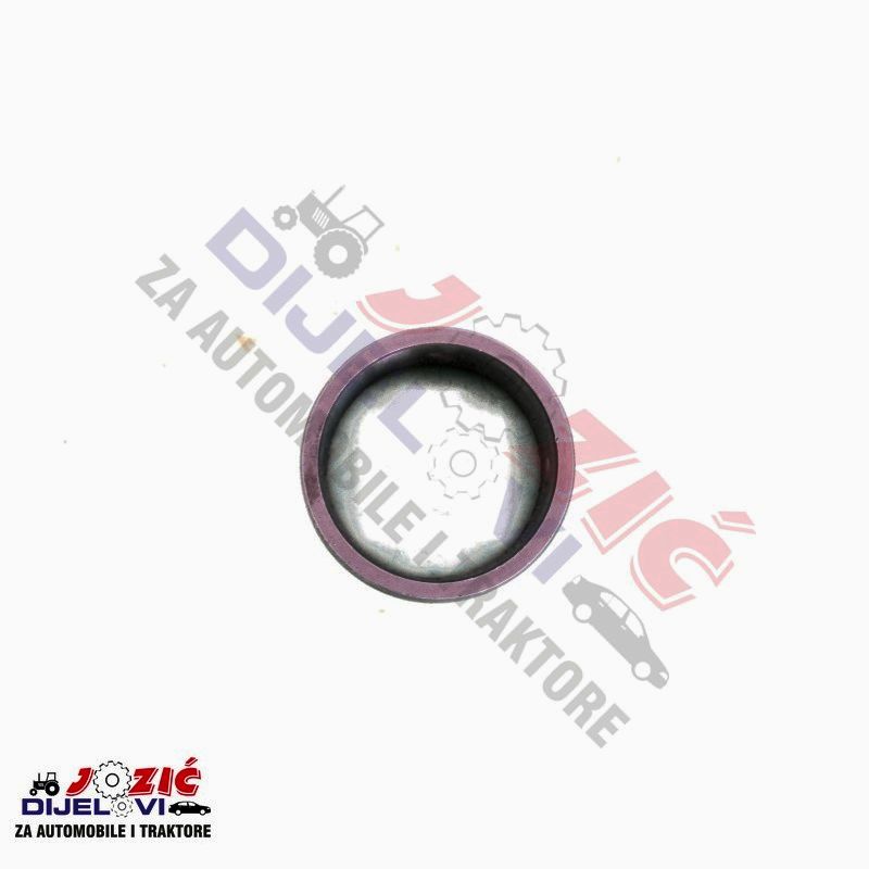 Daisy on the Ohoopee