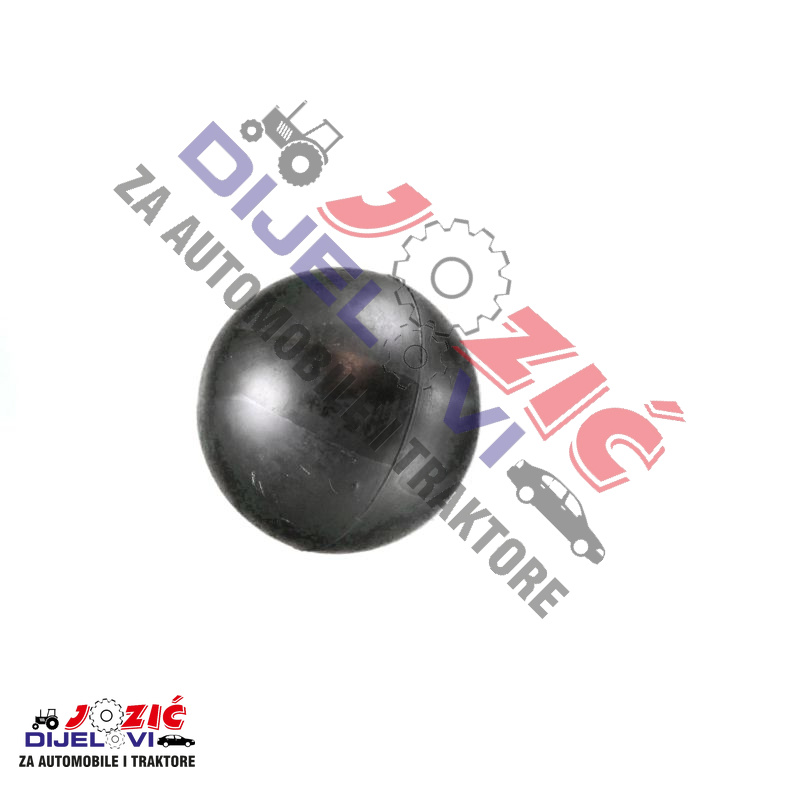 Daisy on the Ohoopee