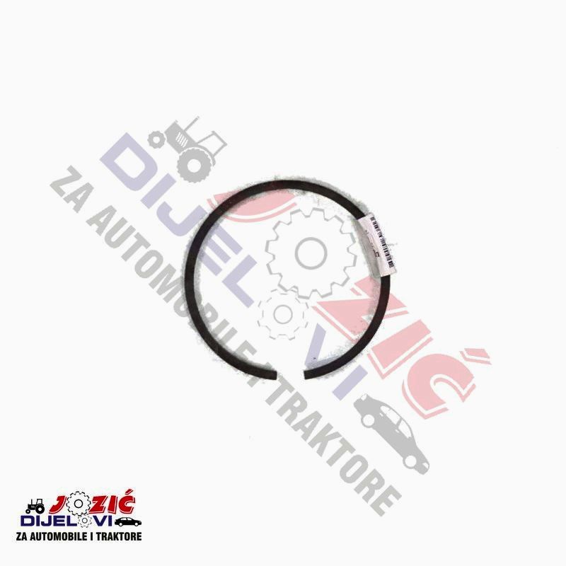 Daisy on the Ohoopee