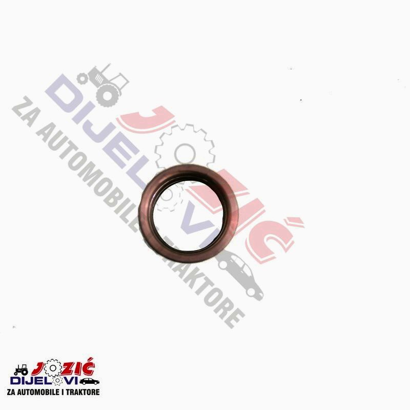 Daisy on the Ohoopee