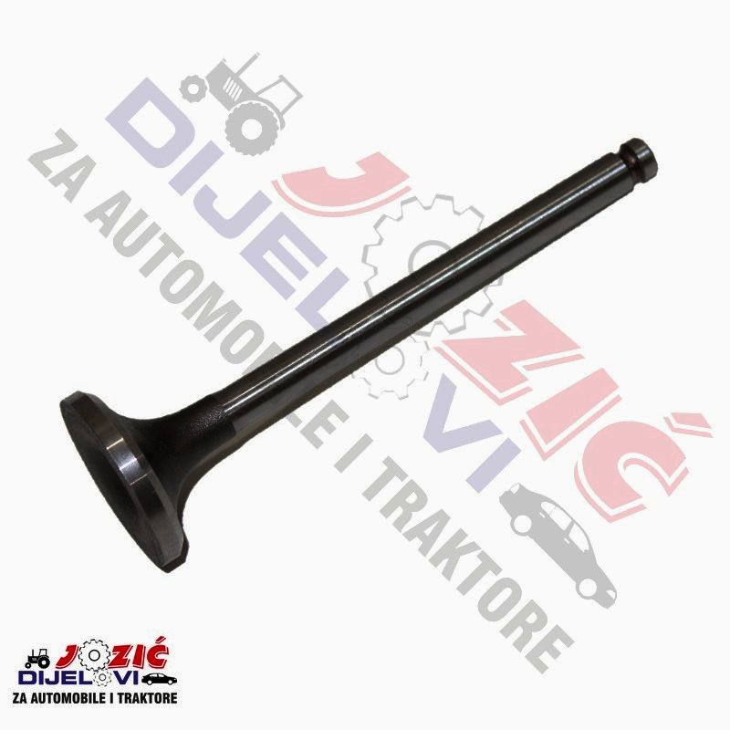 Daisy on the Ohoopee