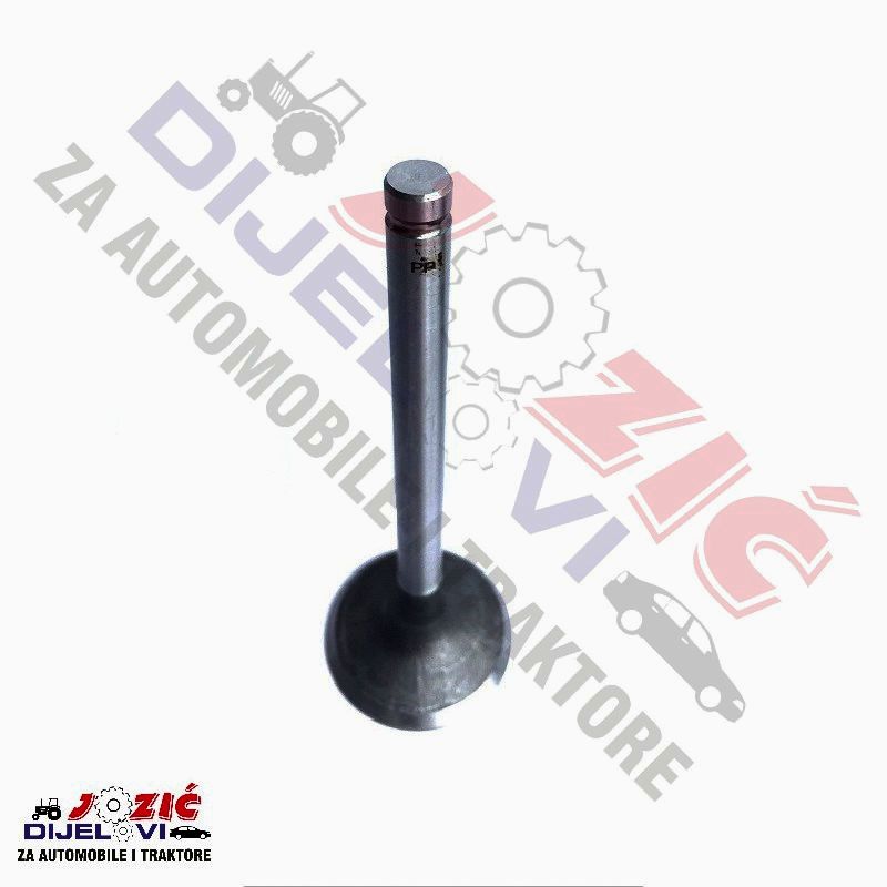 Daisy on the Ohoopee