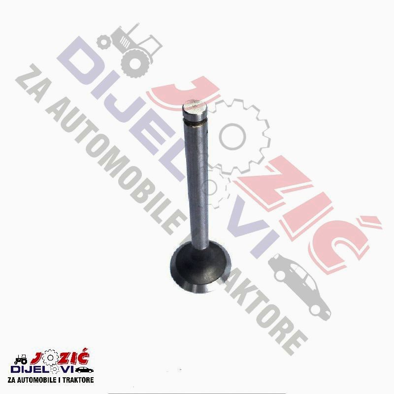 Daisy on the Ohoopee