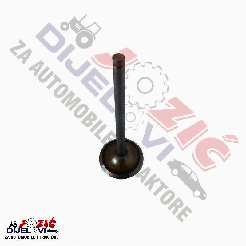 Daisy on the Ohoopee