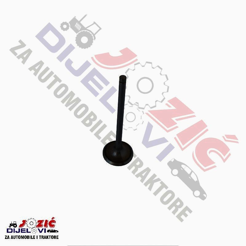 Daisy on the Ohoopee