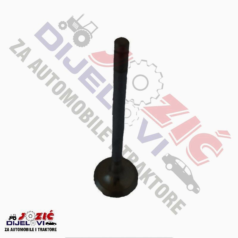 Daisy on the Ohoopee