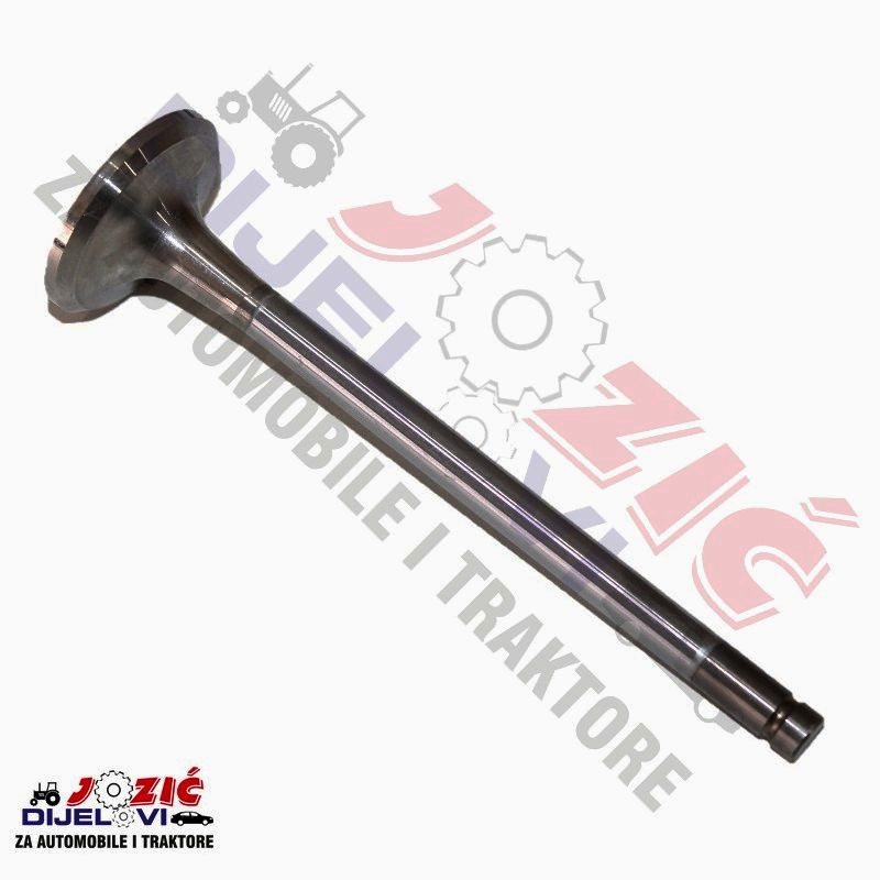 Daisy on the Ohoopee