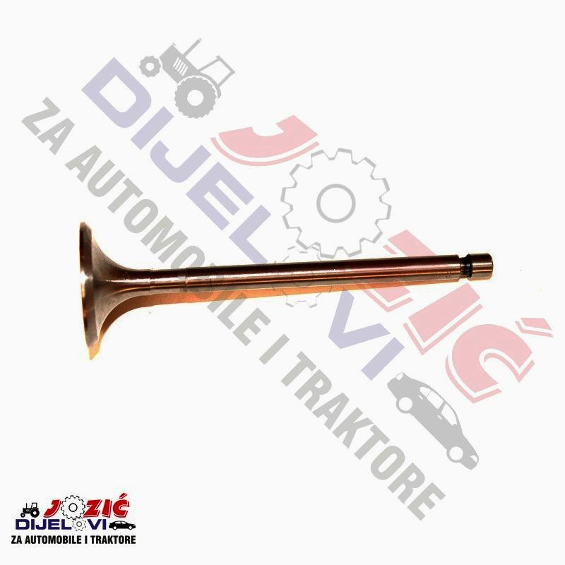 Daisy on the Ohoopee