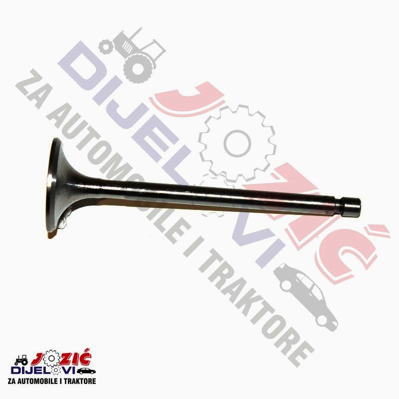 Daisy on the Ohoopee