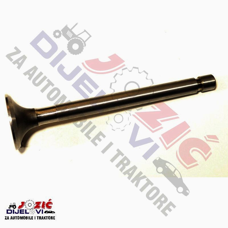 Daisy on the Ohoopee