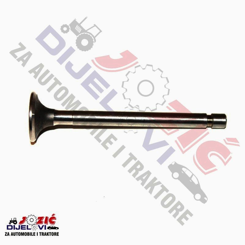 Daisy on the Ohoopee