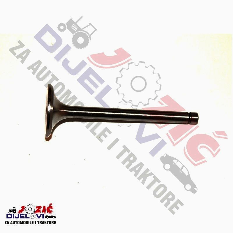 Daisy on the Ohoopee