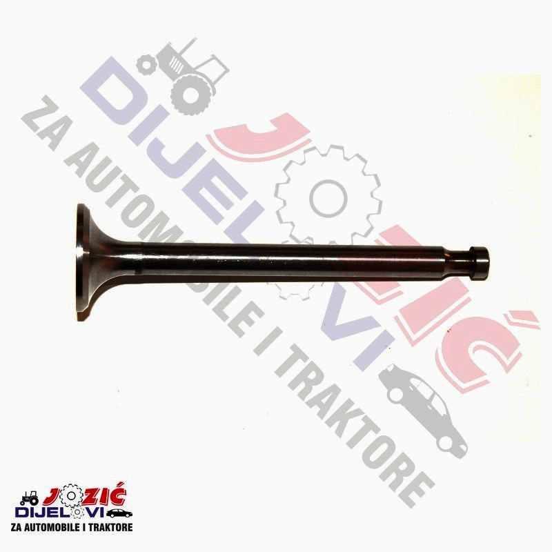 Daisy on the Ohoopee