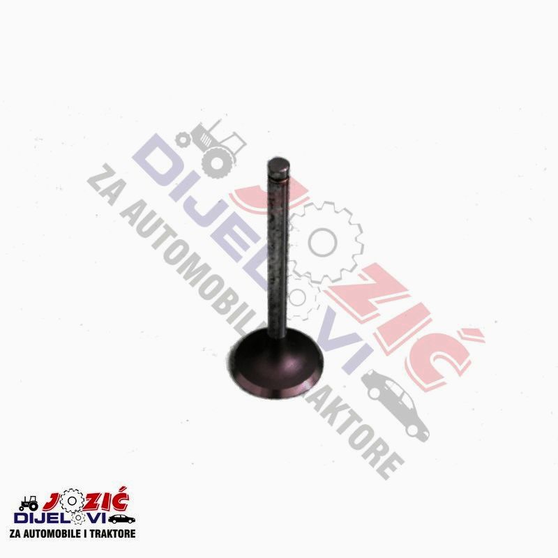 Daisy on the Ohoopee