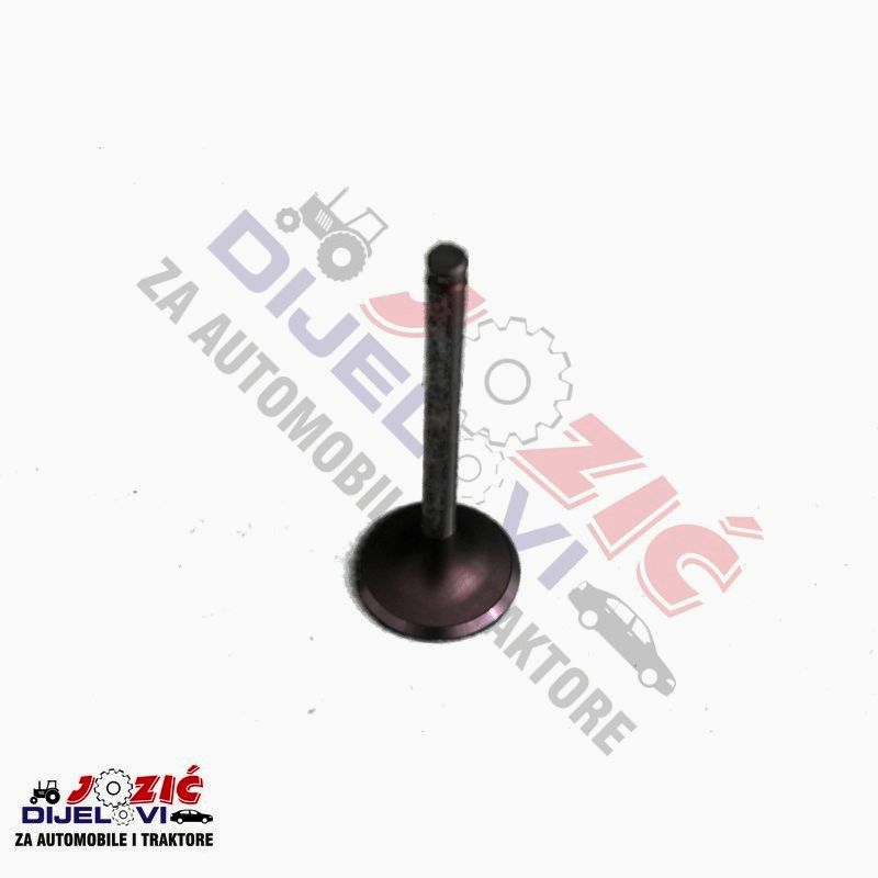 Daisy on the Ohoopee