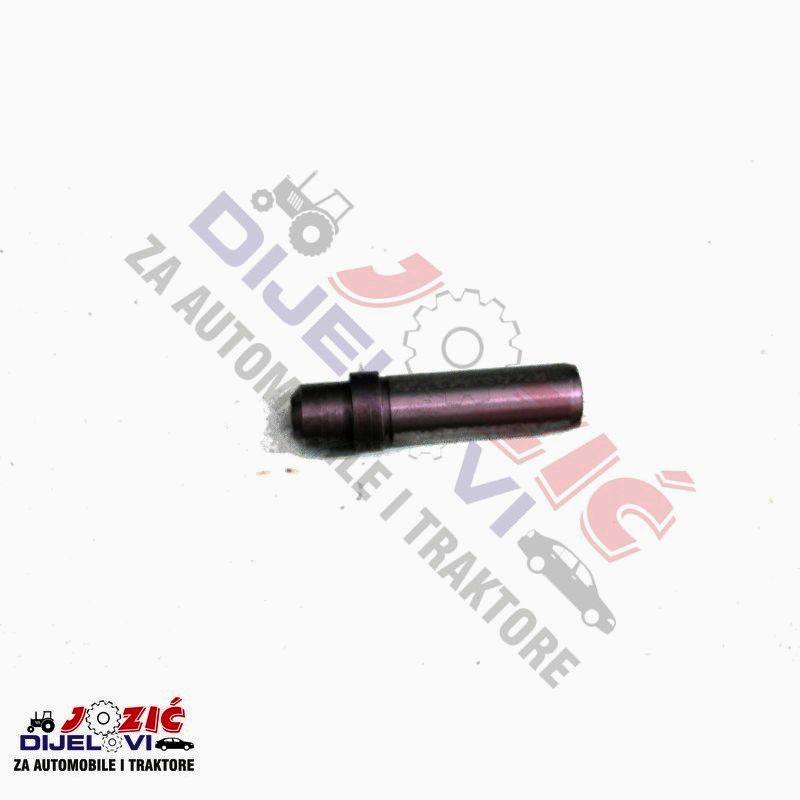 Daisy on the Ohoopee