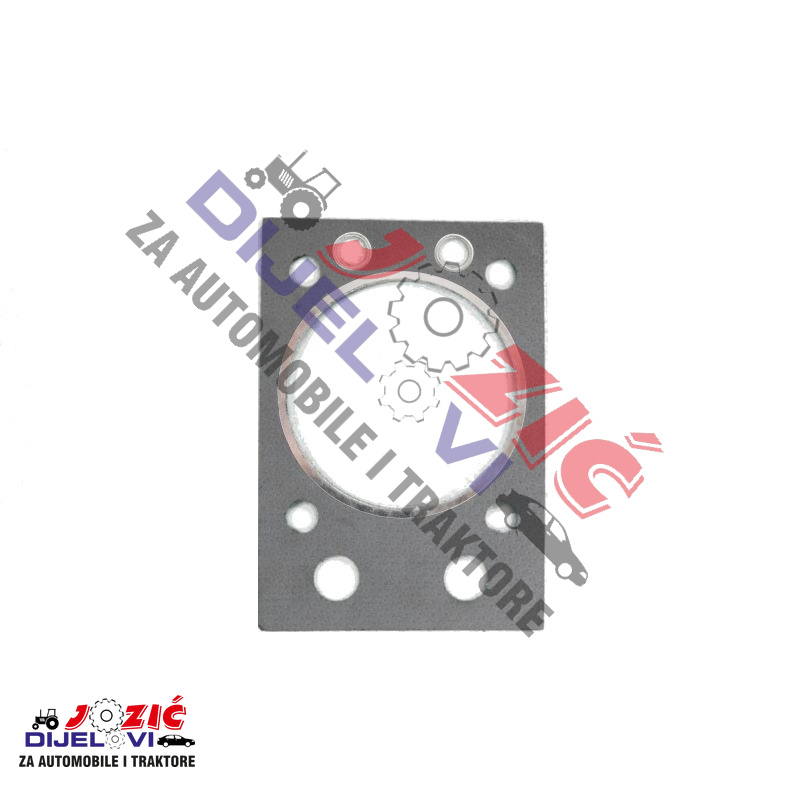 Daisy on the Ohoopee