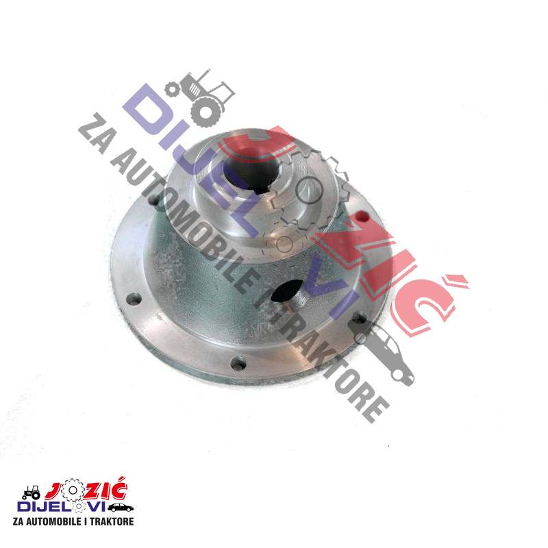 Daisy on the Ohoopee