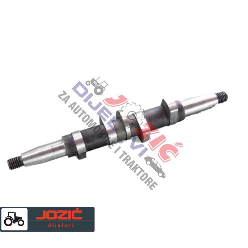 Daisy on the Ohoopee