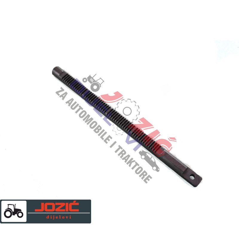 Daisy on the Ohoopee