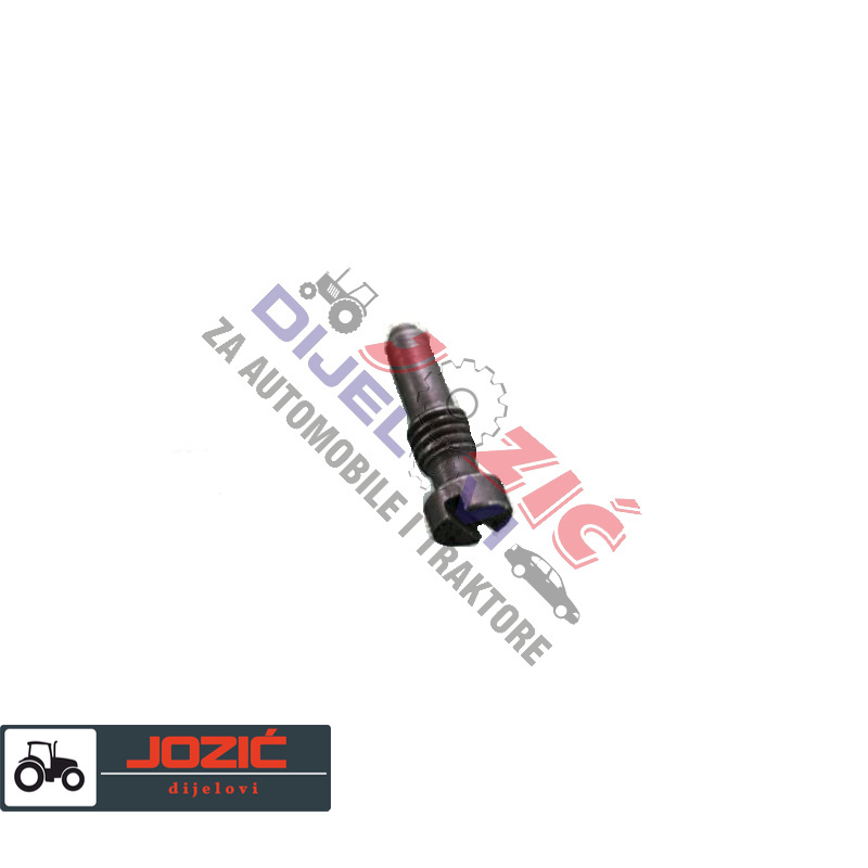 Daisy on the Ohoopee