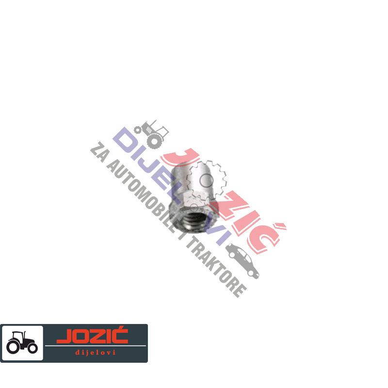 Daisy on the Ohoopee