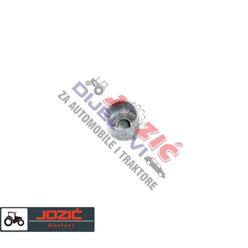 Daisy on the Ohoopee