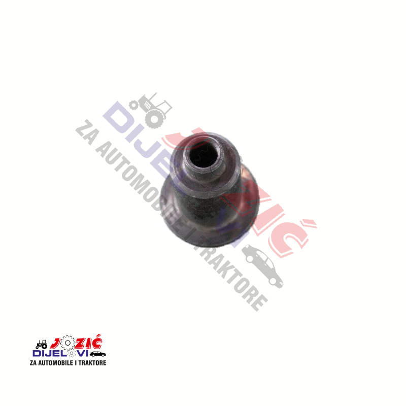 Daisy on the Ohoopee