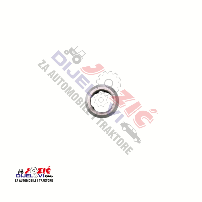 Daisy on the Ohoopee