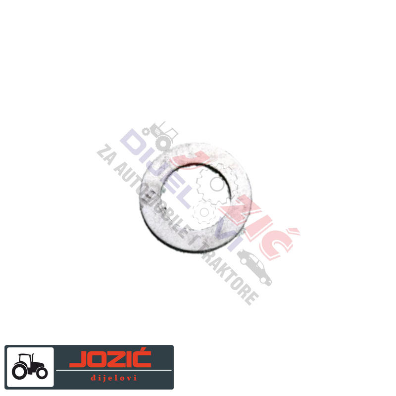 Daisy on the Ohoopee