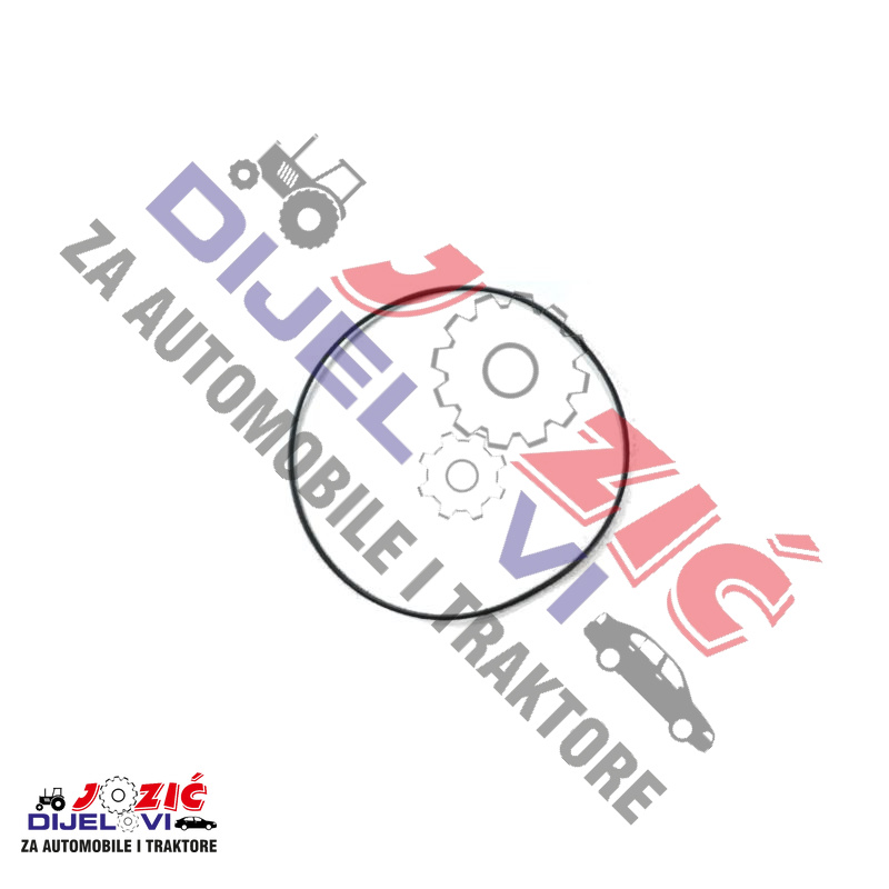 Daisy on the Ohoopee