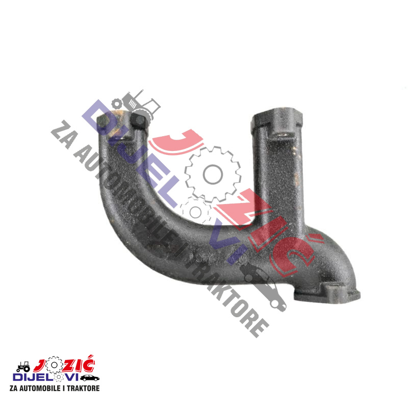 Daisy on the Ohoopee