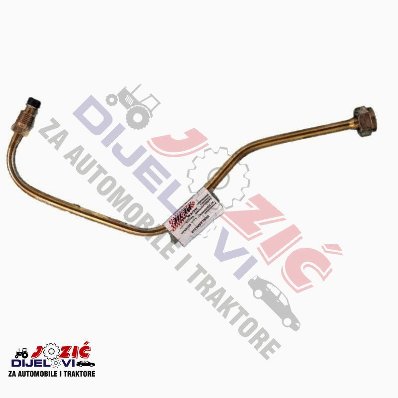 Daisy on the Ohoopee