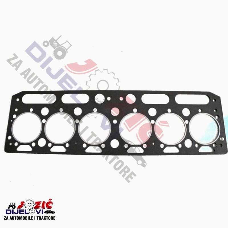 Daisy on the Ohoopee