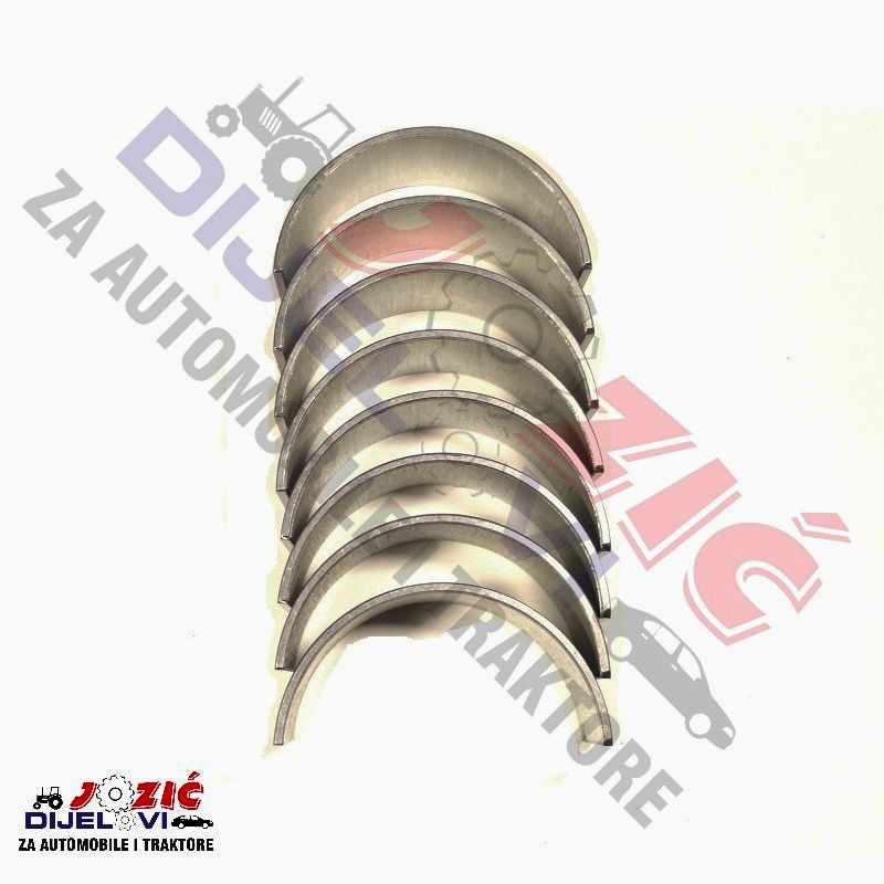 Daisy on the Ohoopee