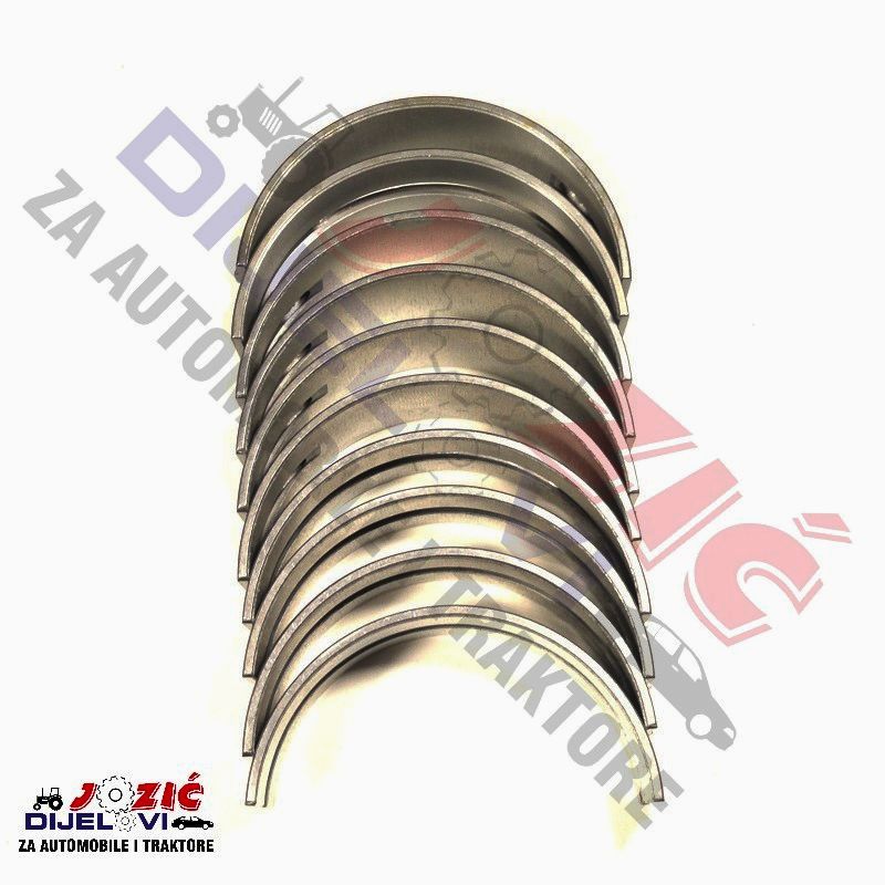 Daisy on the Ohoopee