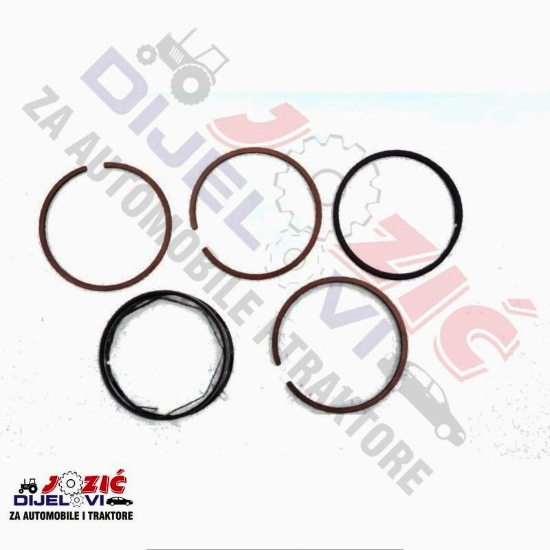 Daisy on the Ohoopee