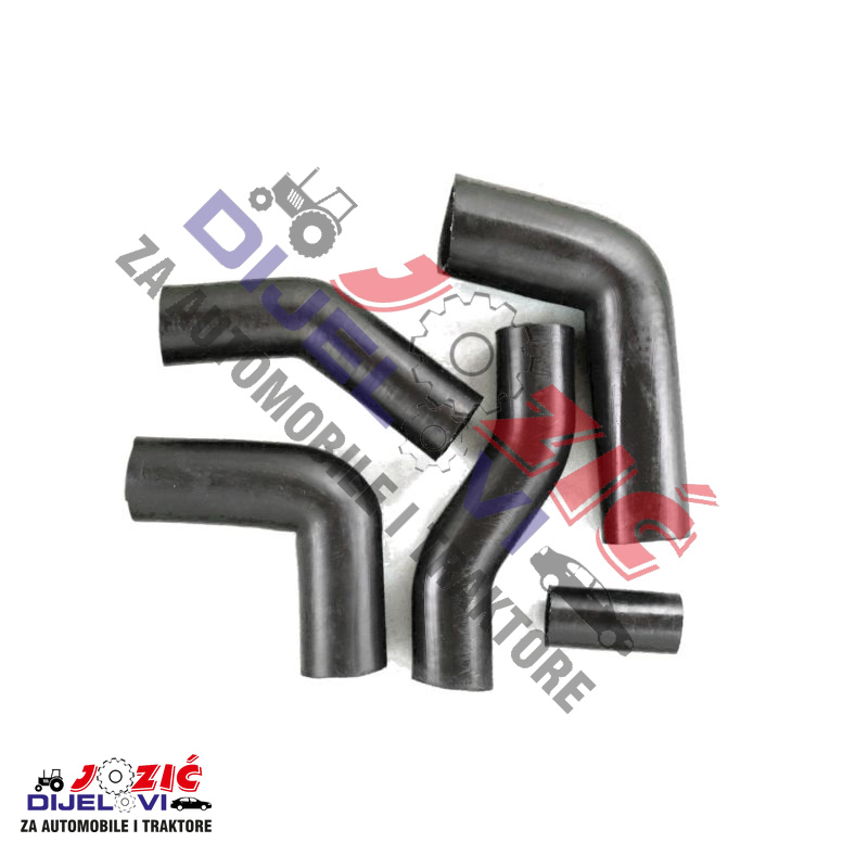 Daisy on the Ohoopee