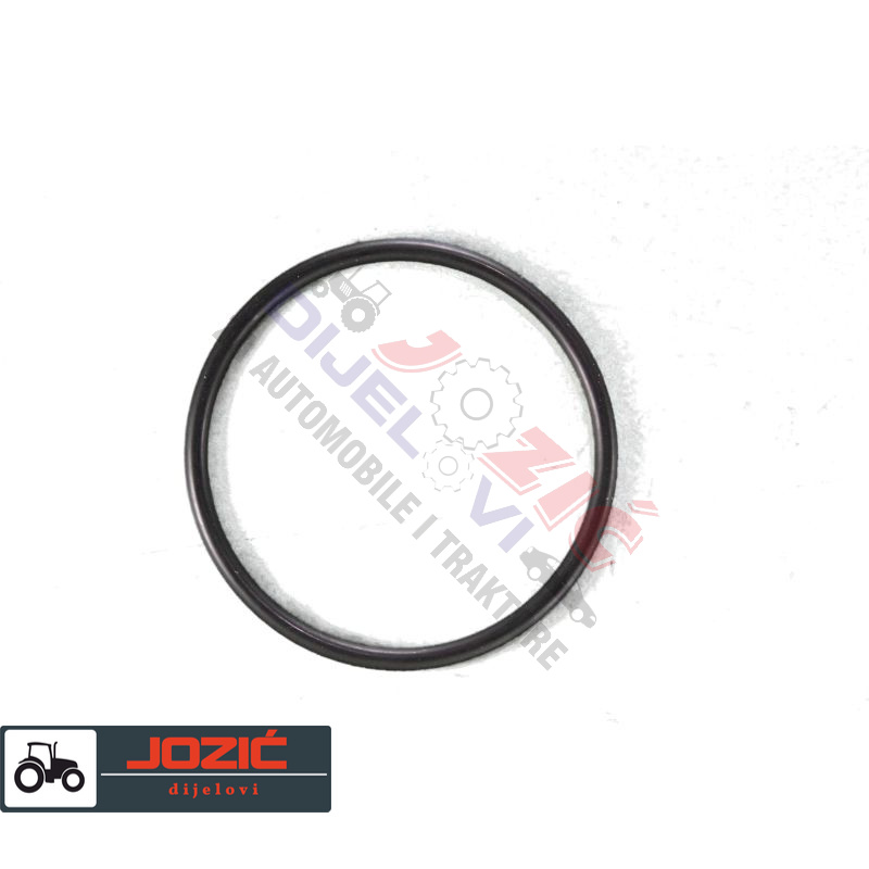 Daisy on the Ohoopee