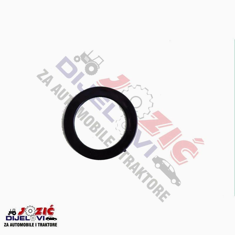 Daisy on the Ohoopee