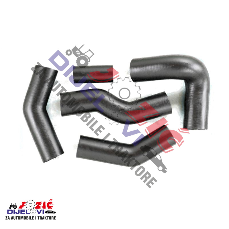 Daisy on the Ohoopee