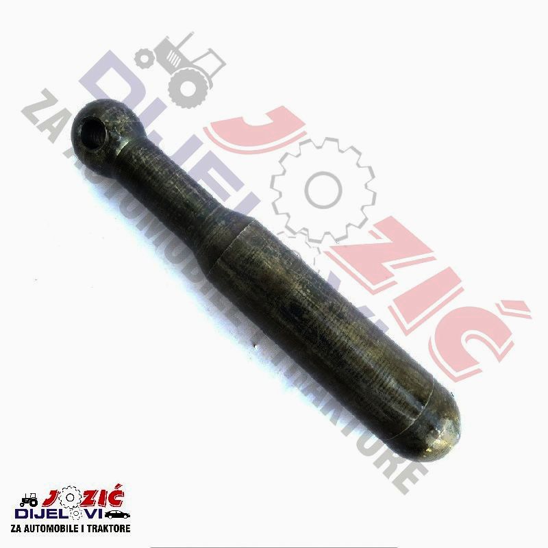 Daisy on the Ohoopee