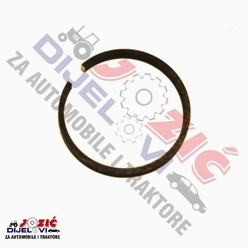 Daisy on the Ohoopee