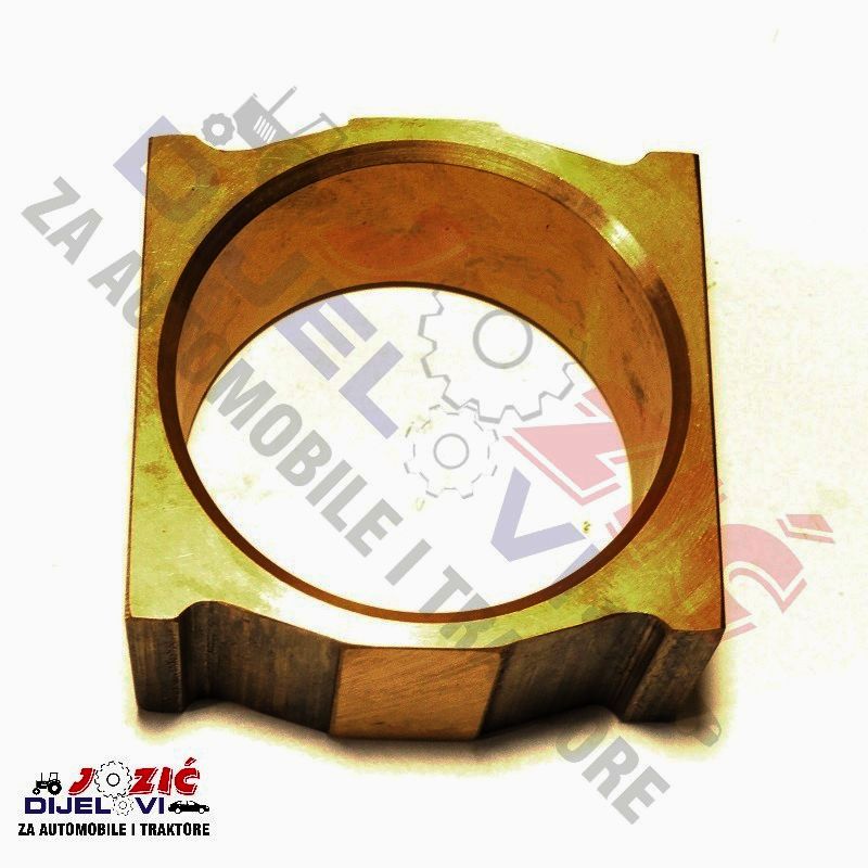 Daisy on the Ohoopee