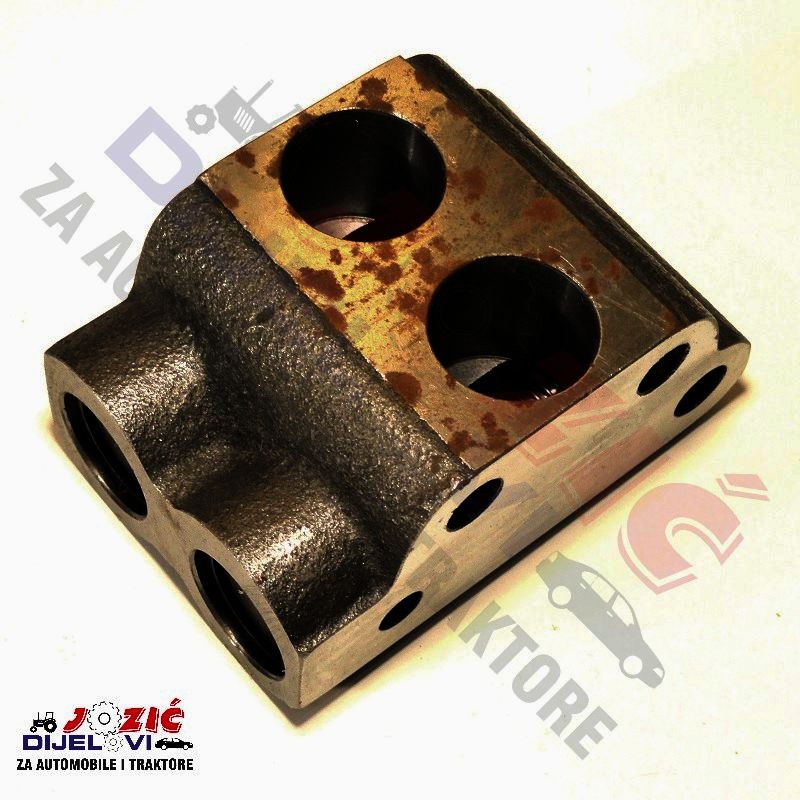 Daisy on the Ohoopee