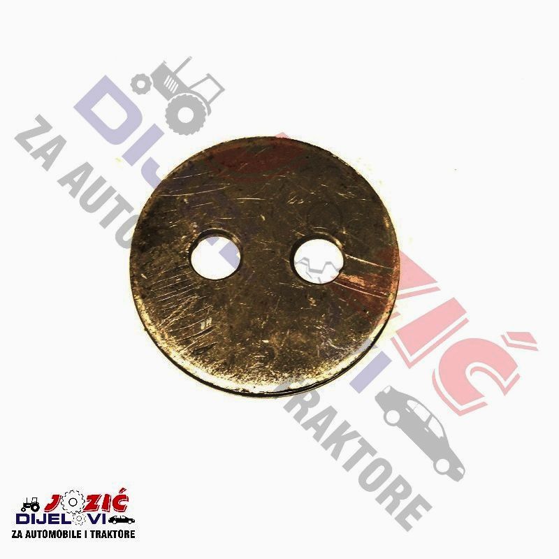 Daisy on the Ohoopee