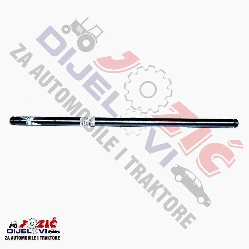 Daisy on the Ohoopee